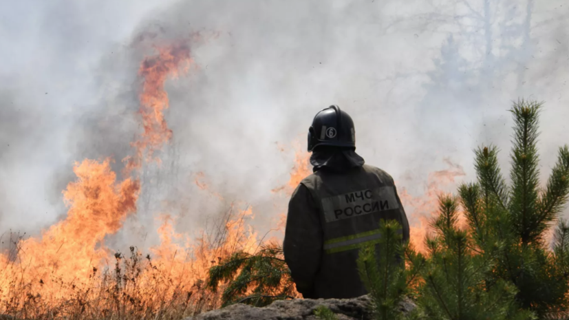 На Ямале зафиксировали первые лесные пожары с начала сезона