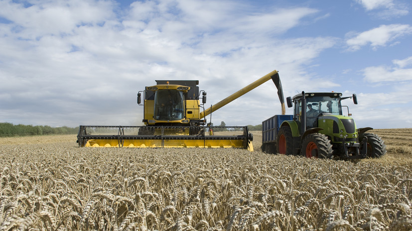 Новак: Россия не планирует прекращать поставки пшеницы в Турцию