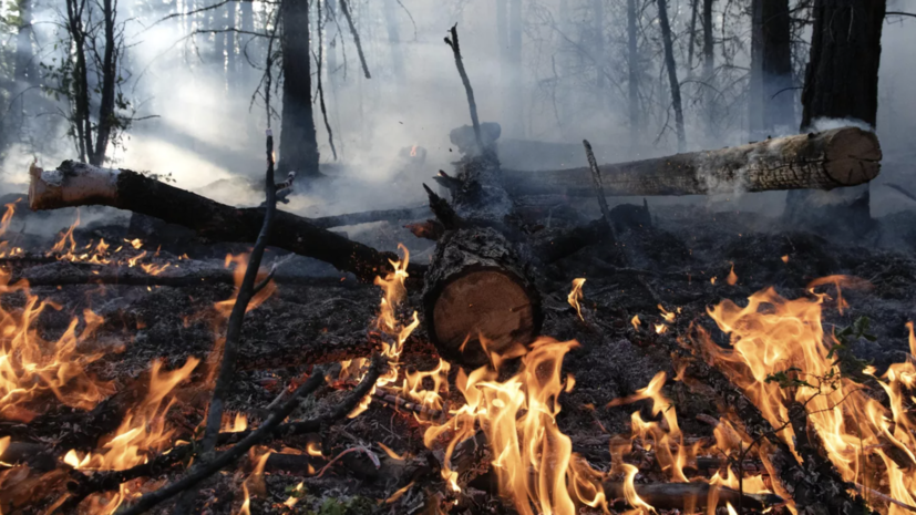 Военнослужащие ЦВО отправились в Хакасию для борьбы с лесными пожарами