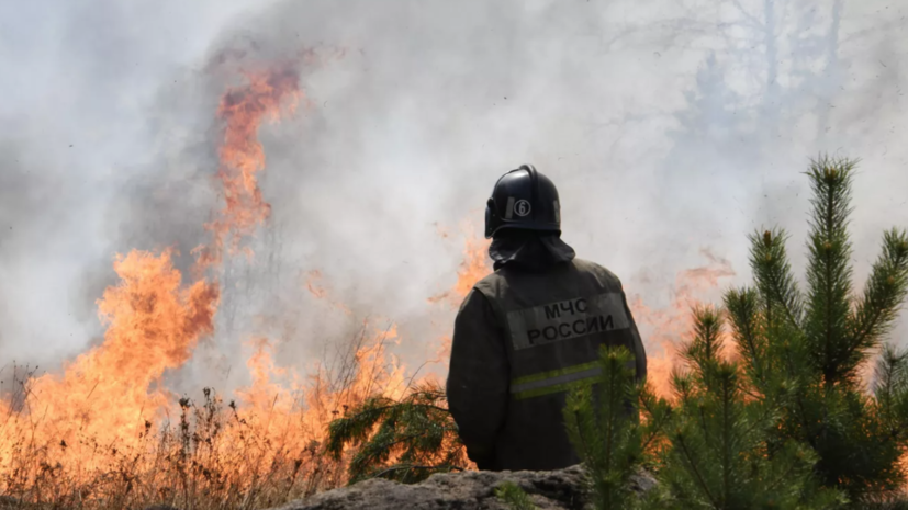В Тюменской области рассказали о ликвидации лесного пожара
