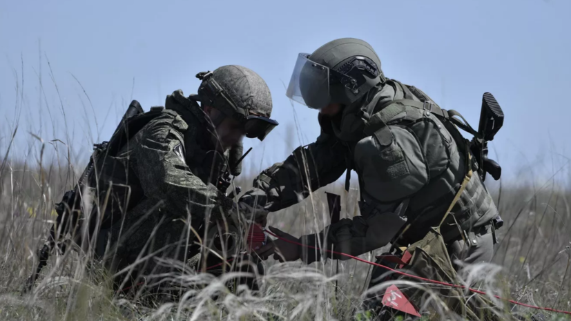 МЧС России обезвредило в Донбассе около 24 тысяч взрывоопасных предметов