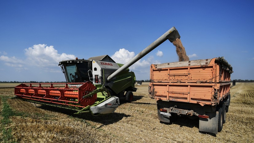 «В свете проблем на мировом рынке продовольствия»: Путин подтвердил готовность России нарастить экспорт сельхозпродукции