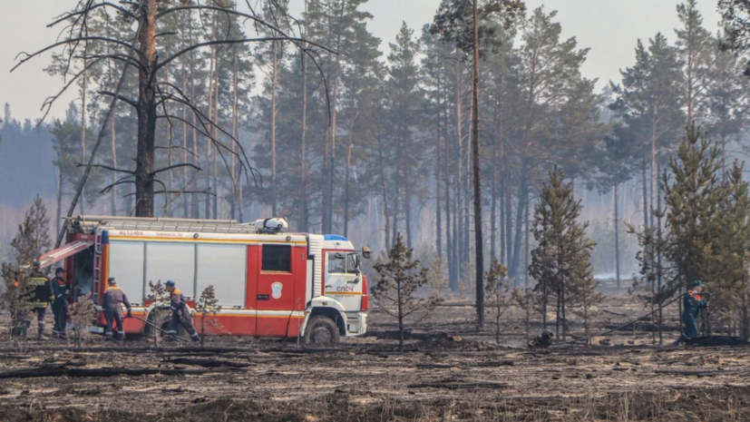 В Мурманской области рассказали о работе по охране лесов от пожаров