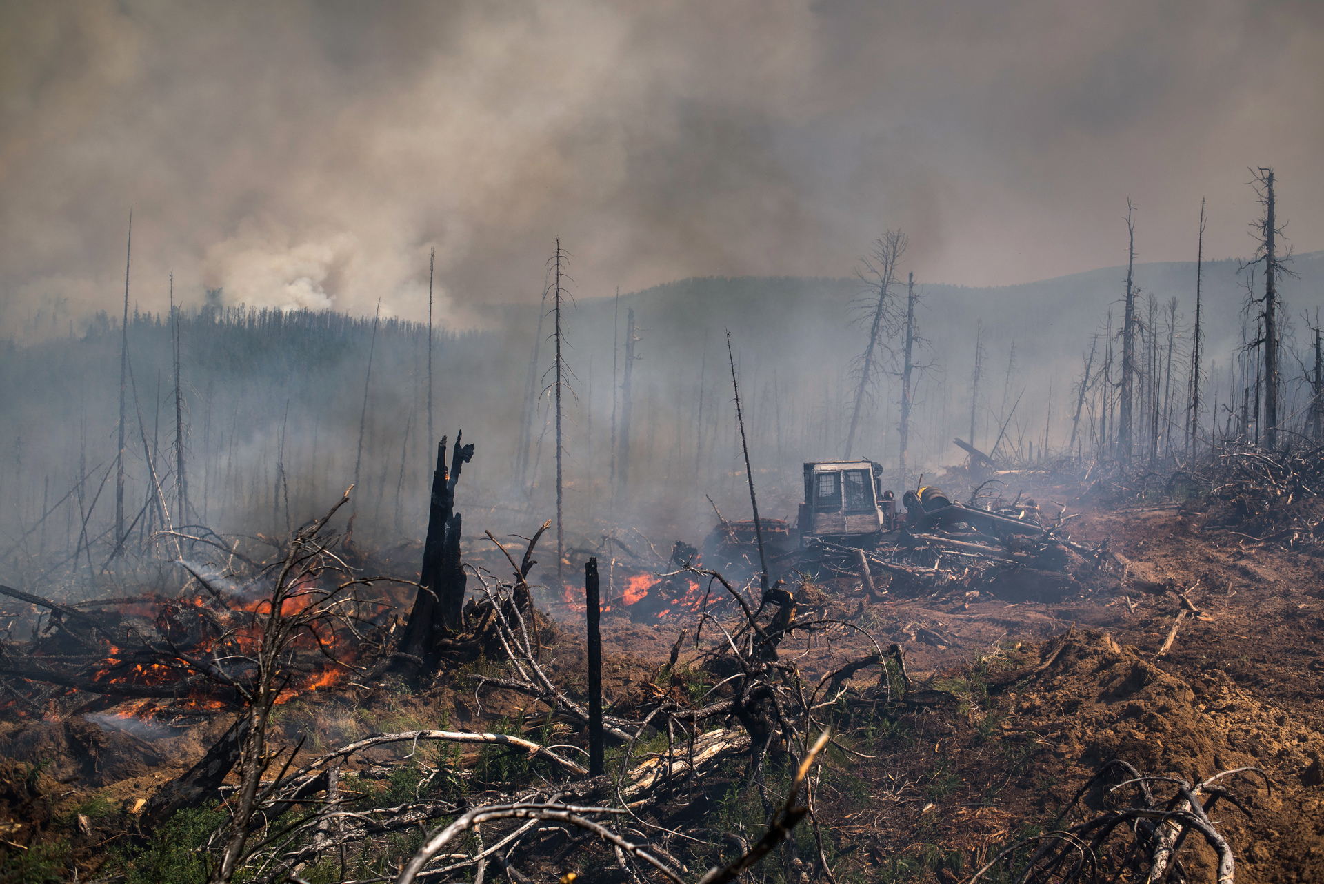 Последствия пожара в лесу