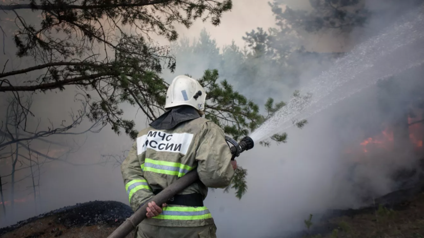 Синоптики: в Томской области сохраняется высокая пожароопасность