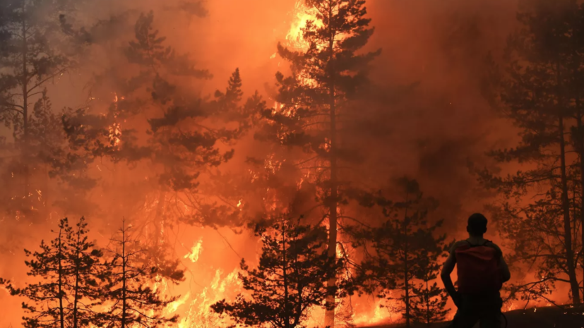 Рослесхоз: в России пройден весенний пик лесных пожаров