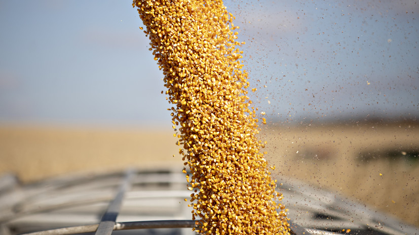 Итальянская аграрная ассоциация Coldiretti сообщила о снижении мировых цен на зерно