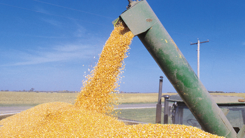 В Турции заявили, что надеются определить механизм вывоза зерна в ходе визита Лаврова