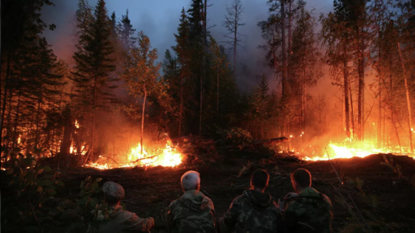В Рослесхозе назвали российские регионы с наибольшей пожароопасностью этим летом