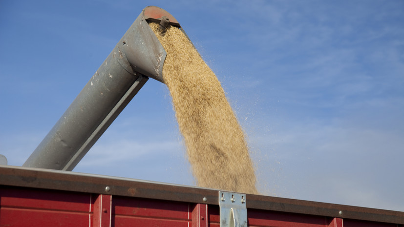 ЛНР начнёт экспортировать зерно в Россию по железной дороге