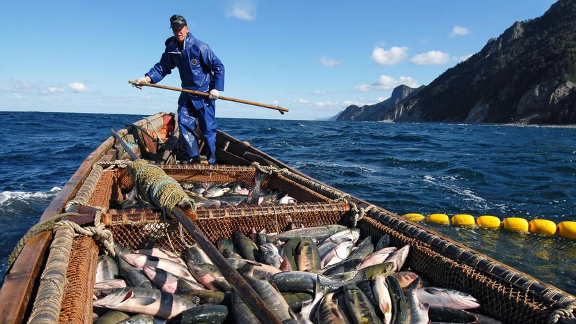 Трутнев: Россия изымет у Японии право вылова рыбы у Курил из-за отказа платить за квоты