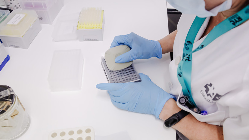 Иммунолог Скорпилева назвала различия между оспой обезьян и ветрянкой