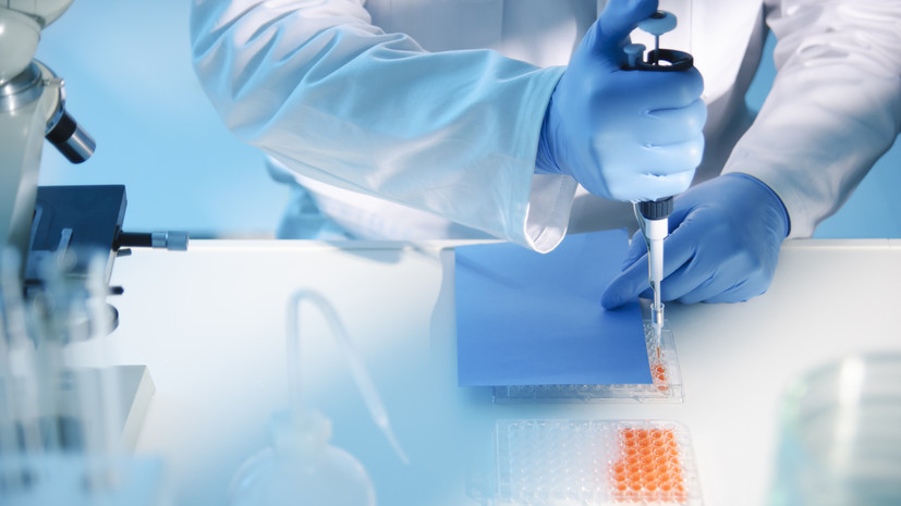 Роспотребнадзор предоставит Туркмении тесты на выявление оспы обезьян