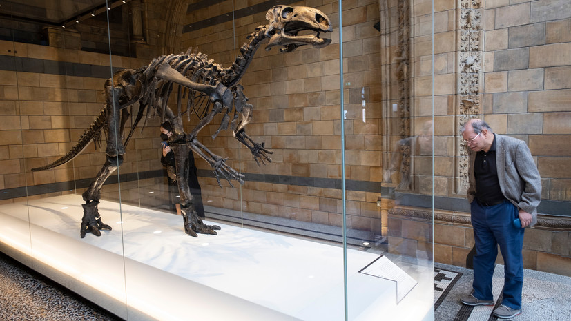 Древние кости: тест RT о палеонтологических находках в России и за рубежом