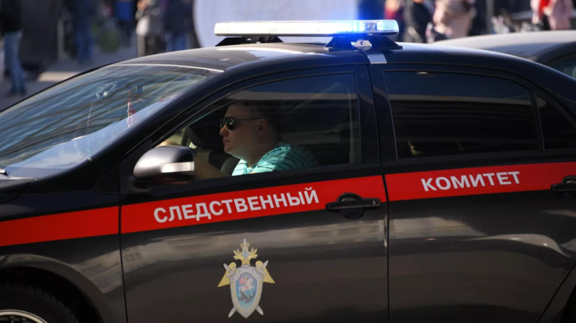СК России возбудил уголовные дела по факту обстрелов рынка в Донецке
