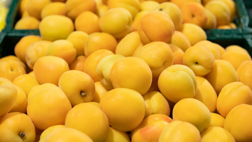 Диетолог Соломатина назвала последствия переедания абрикосов