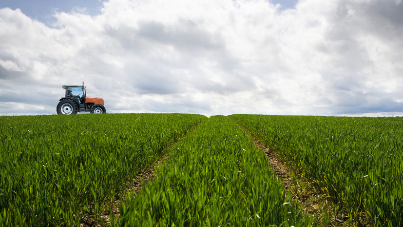 В Минсельхозе рассказали о господдержке АПК