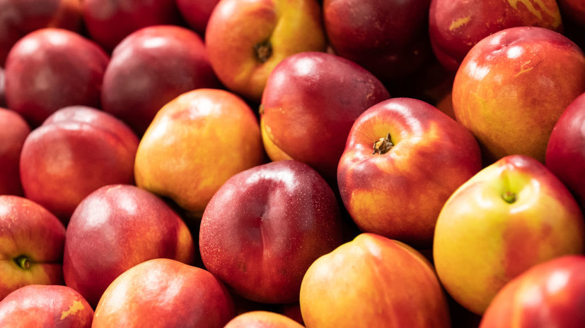 Специалисты рассказали, как правильно выбирать сезонные фрукты в июне