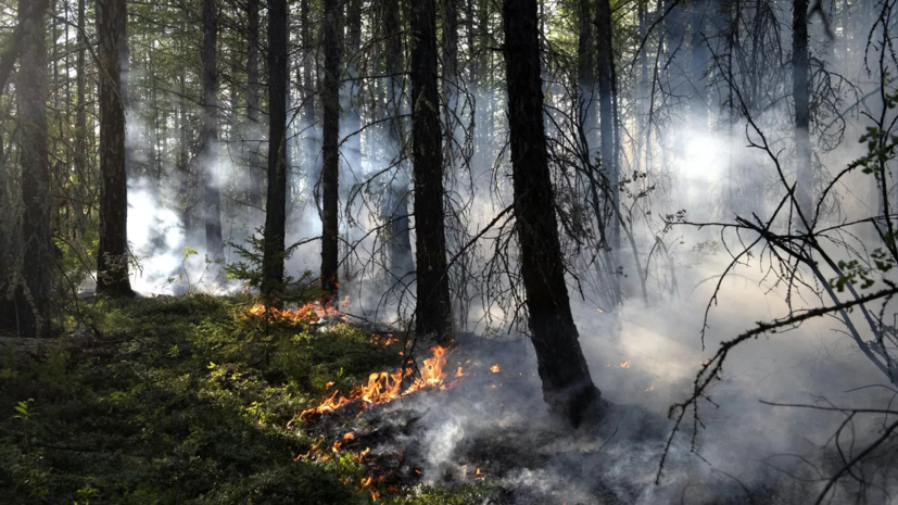 В Оренбургской области ввели особый противопожарный режим