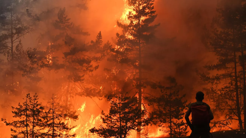 В Якутии ввели режим повышенной готовности из-за лесных пожаров