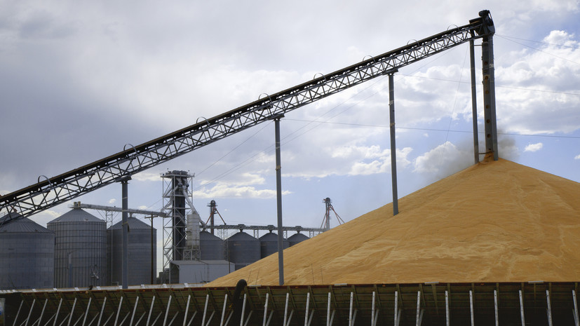 В Белом доме анонсировали санкции G7 за вывоз зерна с Украины