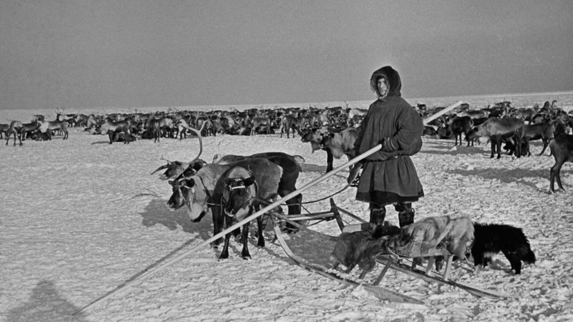 Крайний Север: тест RT о Русском Заполярье