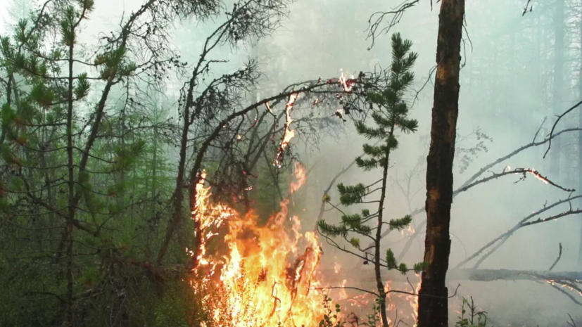 В десяти районах Якутии установили четвёртый класс пожарной опасности