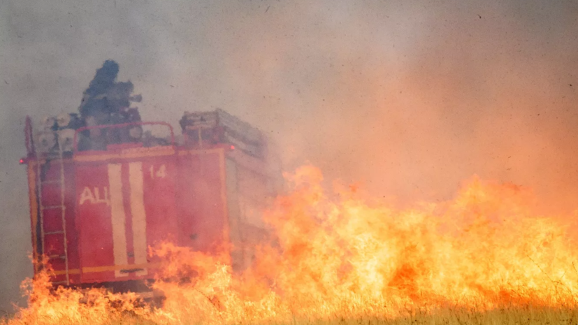 В Бурятии выделили дополнительные 10 млн рублей на охрану лесов от пожаров