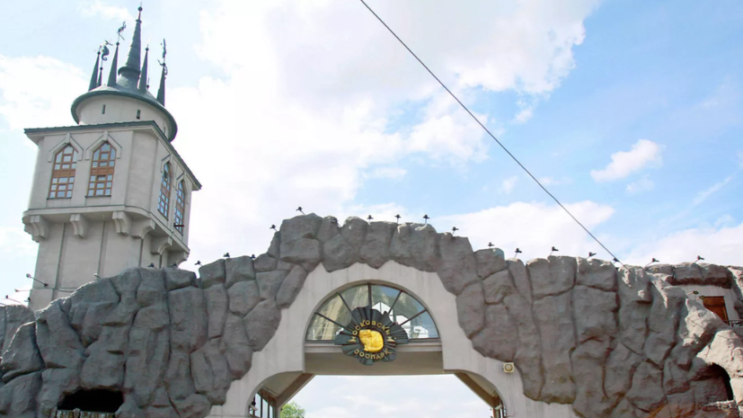 В Московском зоопарке родились три детёныша краснокнижной росомахи