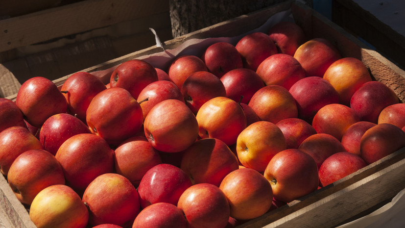 Гастроэнтеролог Есакова рассказала о вреде красных яблок для некоторых групп людей
