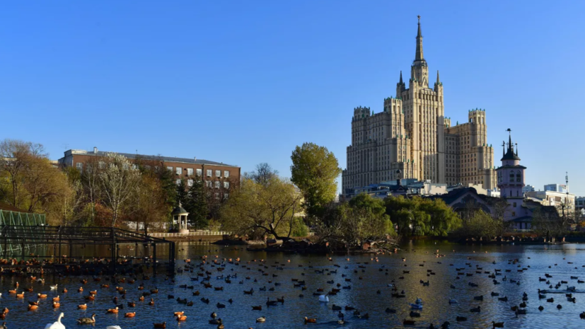 В Московском зоопарке анонсировали открытие павильона «Ластоногие»