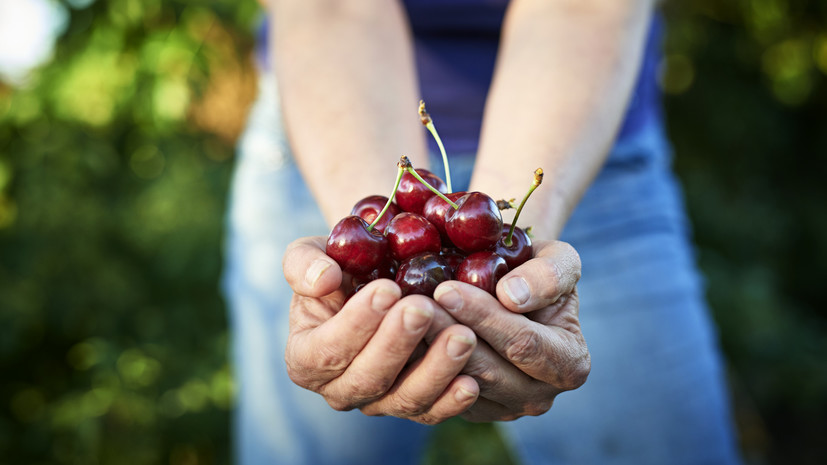 Нутрициолог Брыкин рассказал о пользе и вреде черешни