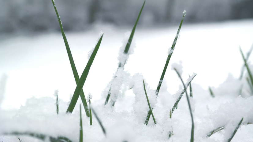 Ночью в Челябинской области выпал снег