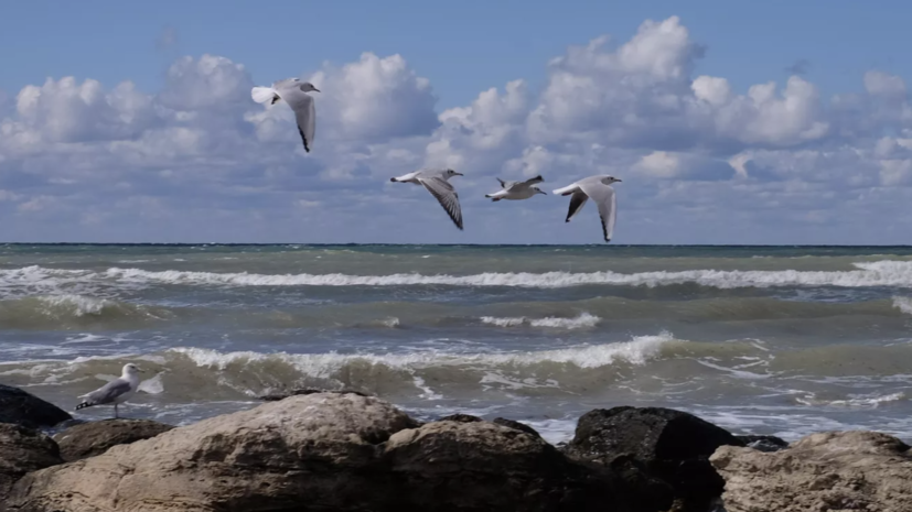 В «Опоре России» высказались об идее создания круглогодичного курорта на Каспийском море