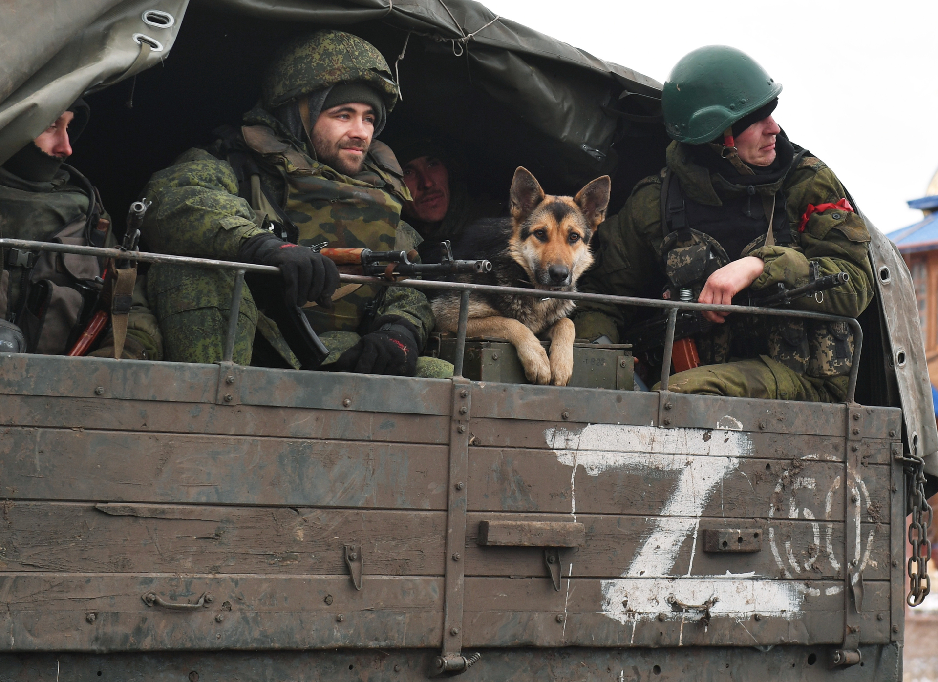 Природный нюх пока не заменили электроникой»: как боевые псы русской армии  зачищают Донбасс от мин — РТ на русском