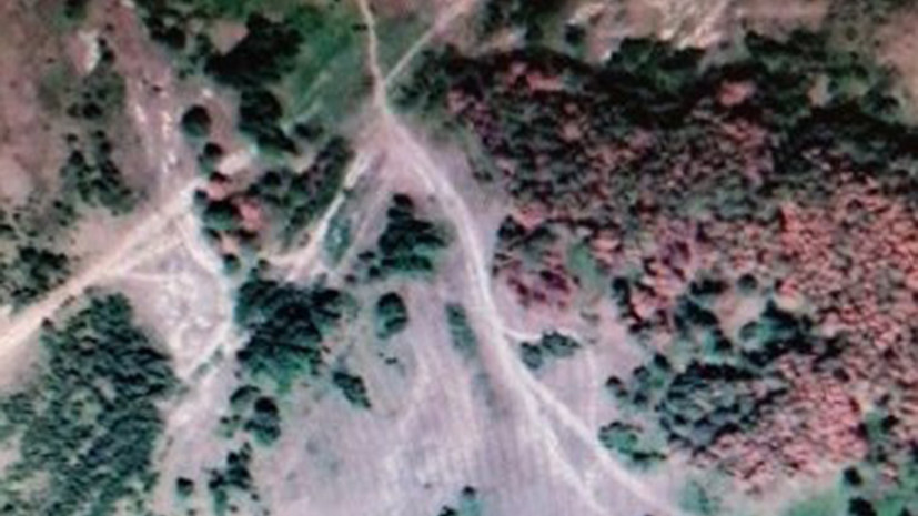 Состояние лесов в Оренбургской области оценили по фото из космоса