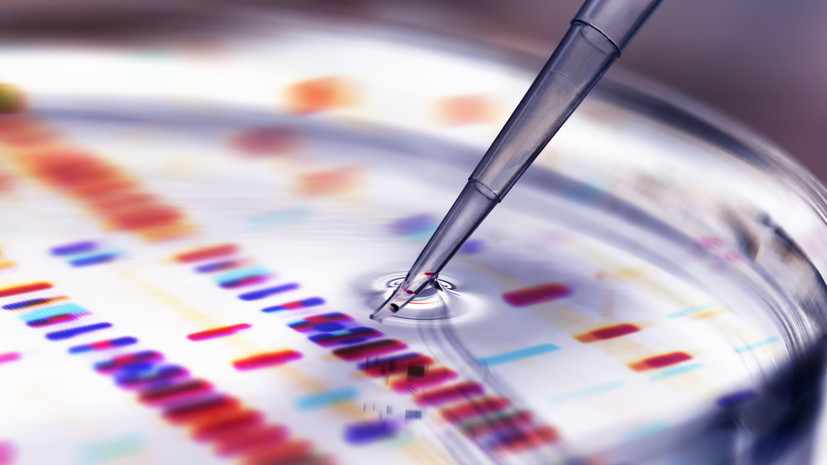 В ЛНР заявили об открытии первой лаборатории ДНК-исследований