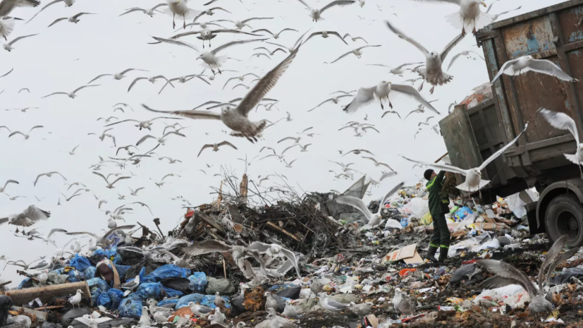 Губернатор Воробьёв заявил об усилении контроля за несанкционированным сбросом мусора