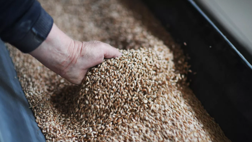 В Ставропольском крае аграрии собрали первый миллион тонн зерна