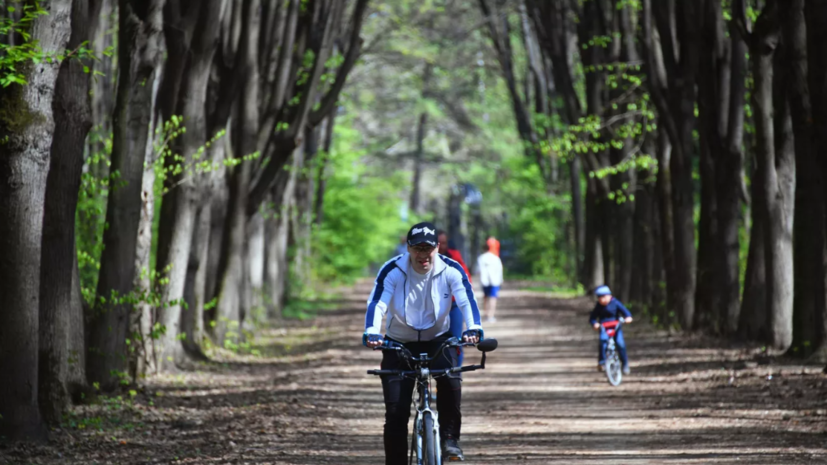 Департамент природопользования выпустил доклад о состоянии окружающей среды Москвы в 2021 году