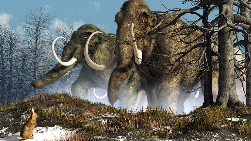 «Рассматривают два фактора вымирания»: палеонтолог — о фауне ледникового периода и клонировании древних животных