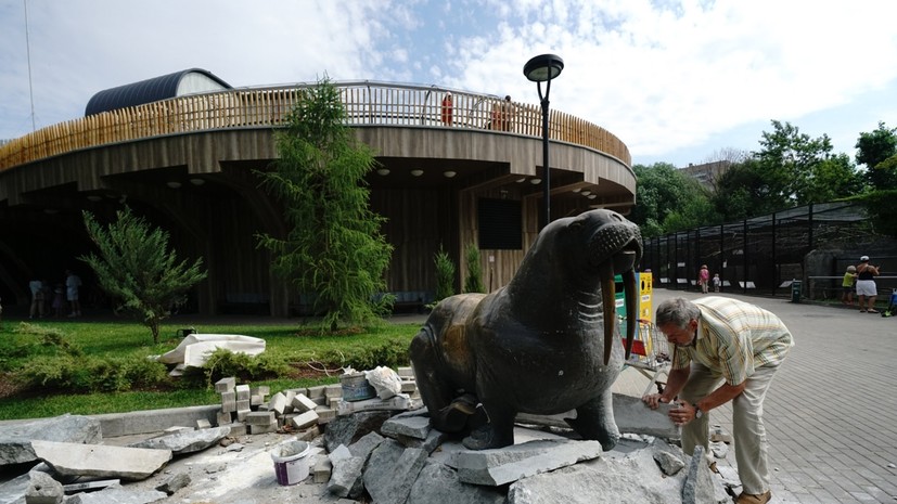 Бочкарёв: завершены работы по строительству павильона «Ластоногие» в Московском зоопарке