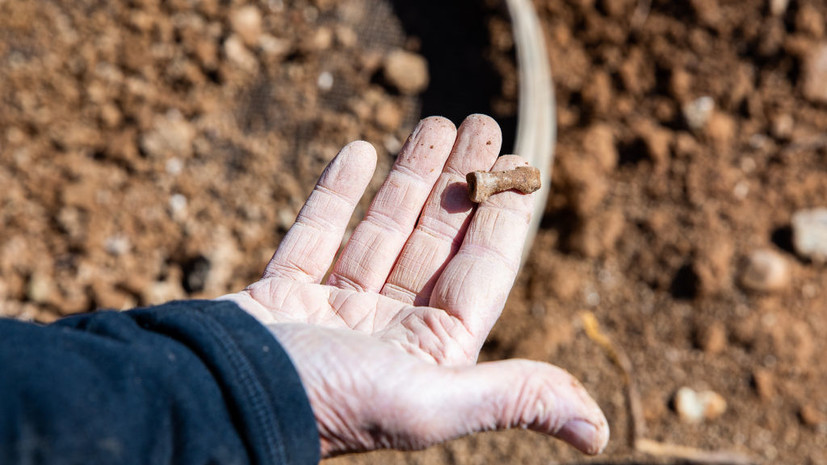 В Ростовской области археологи обнаружили древние погребения
