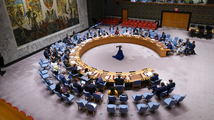 Россия 11 июля проведёт заседание СБ ООН по «формуле Аррии» на тему неонацизма на Украине