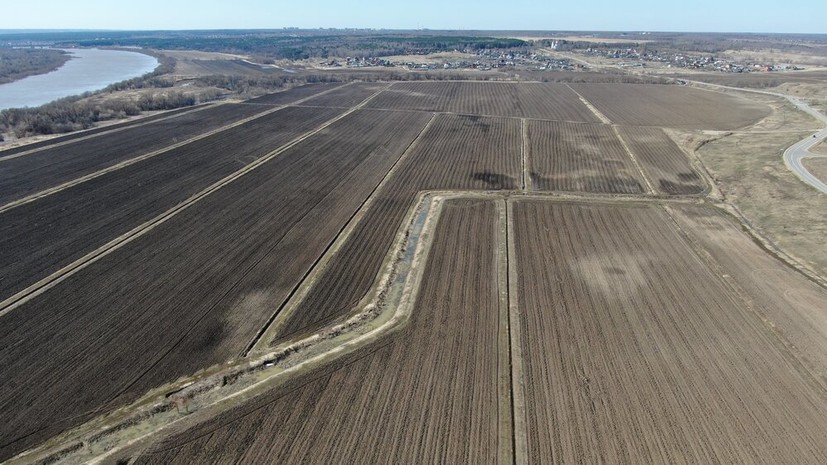 В Подмосковье сообщили о выполнении плана по севу яровых в этом году