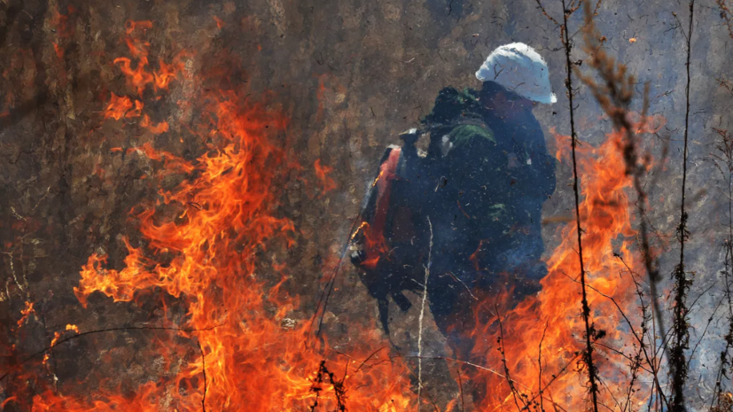 Лесной пожар начался в турецком Бодруме