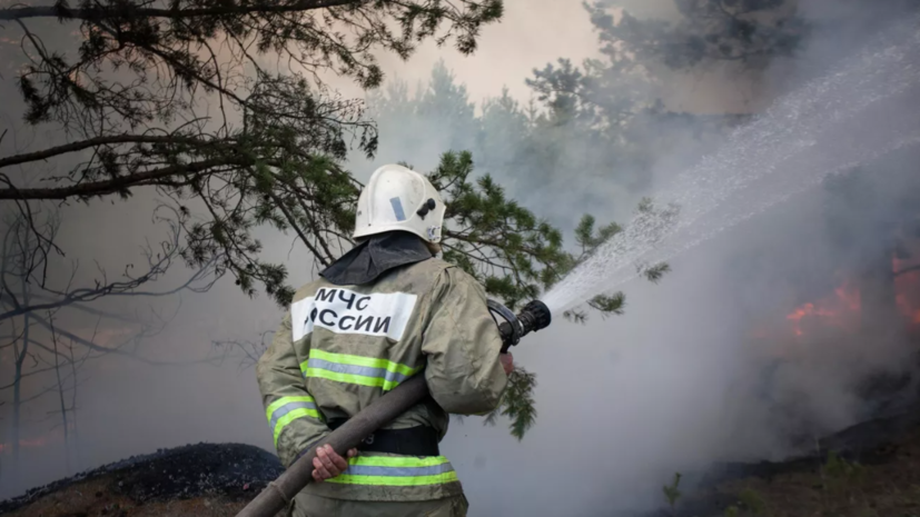 В Свердловской области рассказали о ситуации с природными пожарами