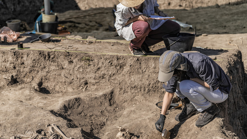 В Омской области археологи обнаружили ценные находки в ходе раскопок