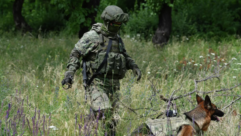 Власти заявили о работах по разминированию в Новой Каховке после обстрела ВСУ