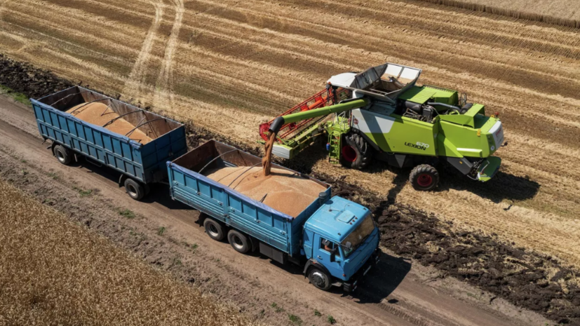 Минсельхоз США повысил прогноз по сбору пшеницы в России в 2022—2023 сельхозгоду